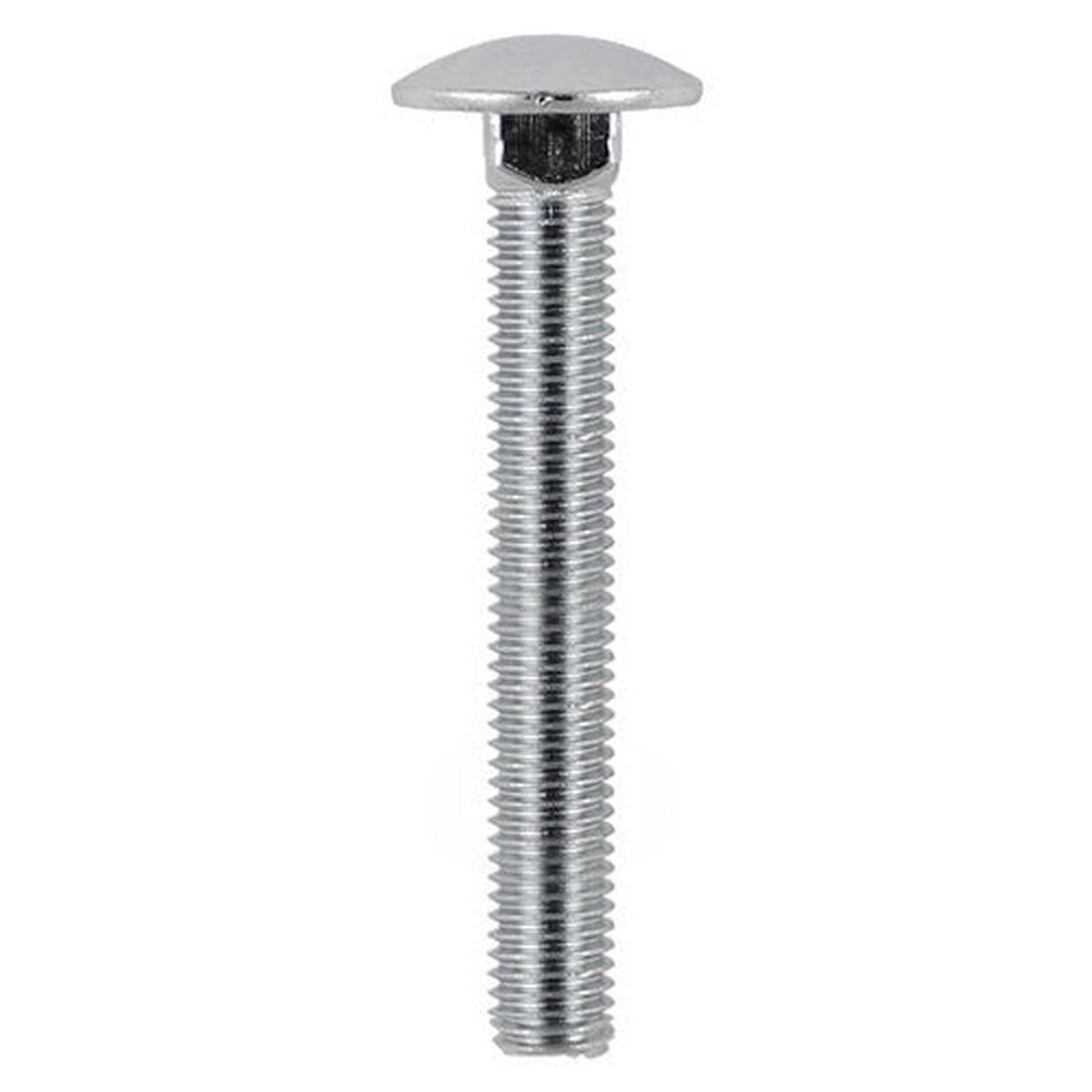 TIMCO Carriage Bolts DIN603 A2 Stainless Steel 8211 M6 x 100