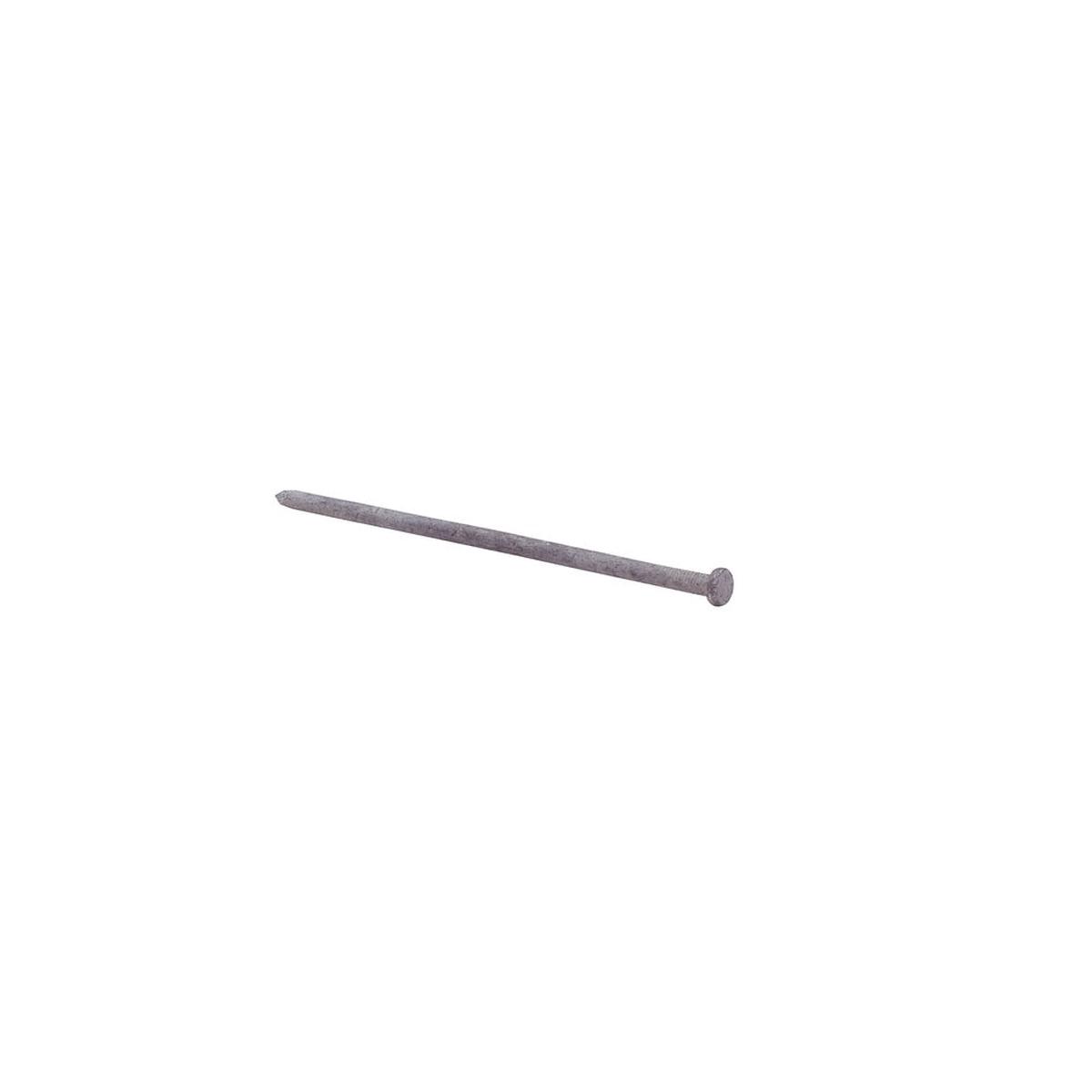 Grip-Rite 10HGSPK5 Hot-Dipped Galvanized Spike Nail Steel 5 lb