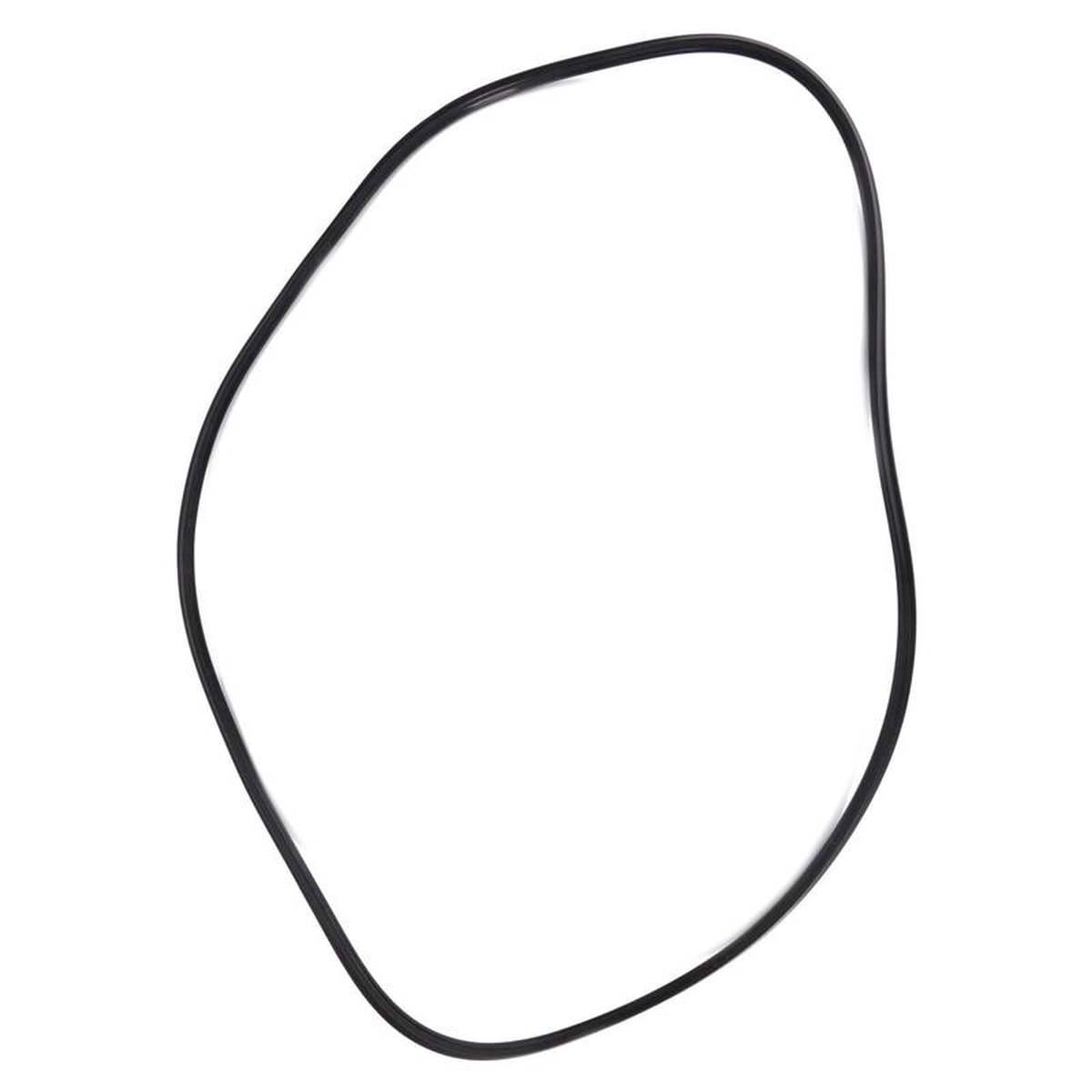 AGCO Gasket Piston Gasket 8211 3790323M1