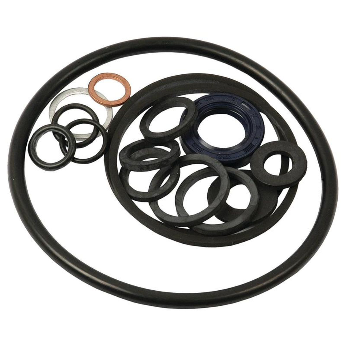 Seal Kit (Air Equipment Pump) Sparex Part NoS40154