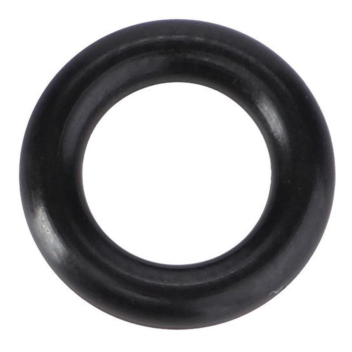 AGCO O-Ring Rear Axle 759 X 262 Mm 8211 941558