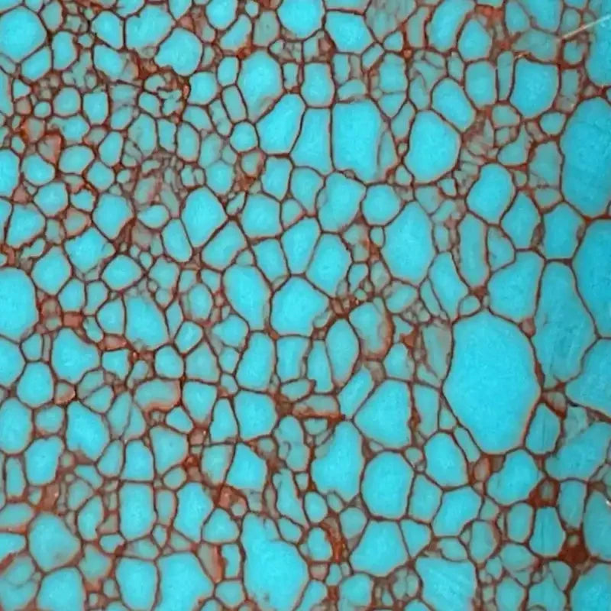 TruStone- Turquoise with Copper Web - 15 x 6