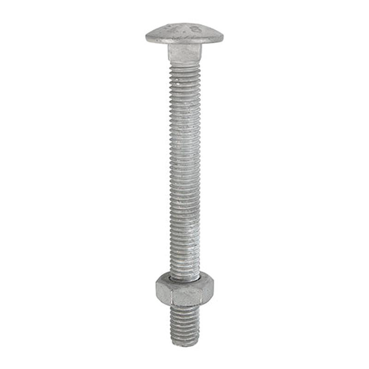 TIMCO Carriage Bolts DIN603 038 Hex Full Nuts DIN934 Hot Dipped Galvanised 8211 M12 x 110