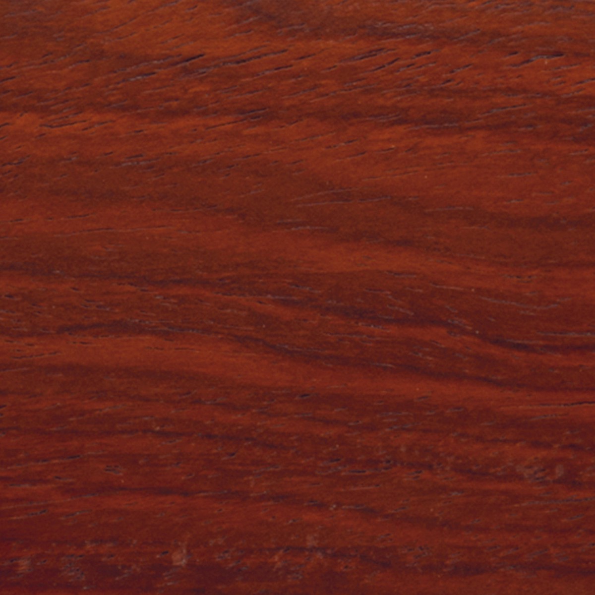 Yucatan Rosewood Wood Turning Stock