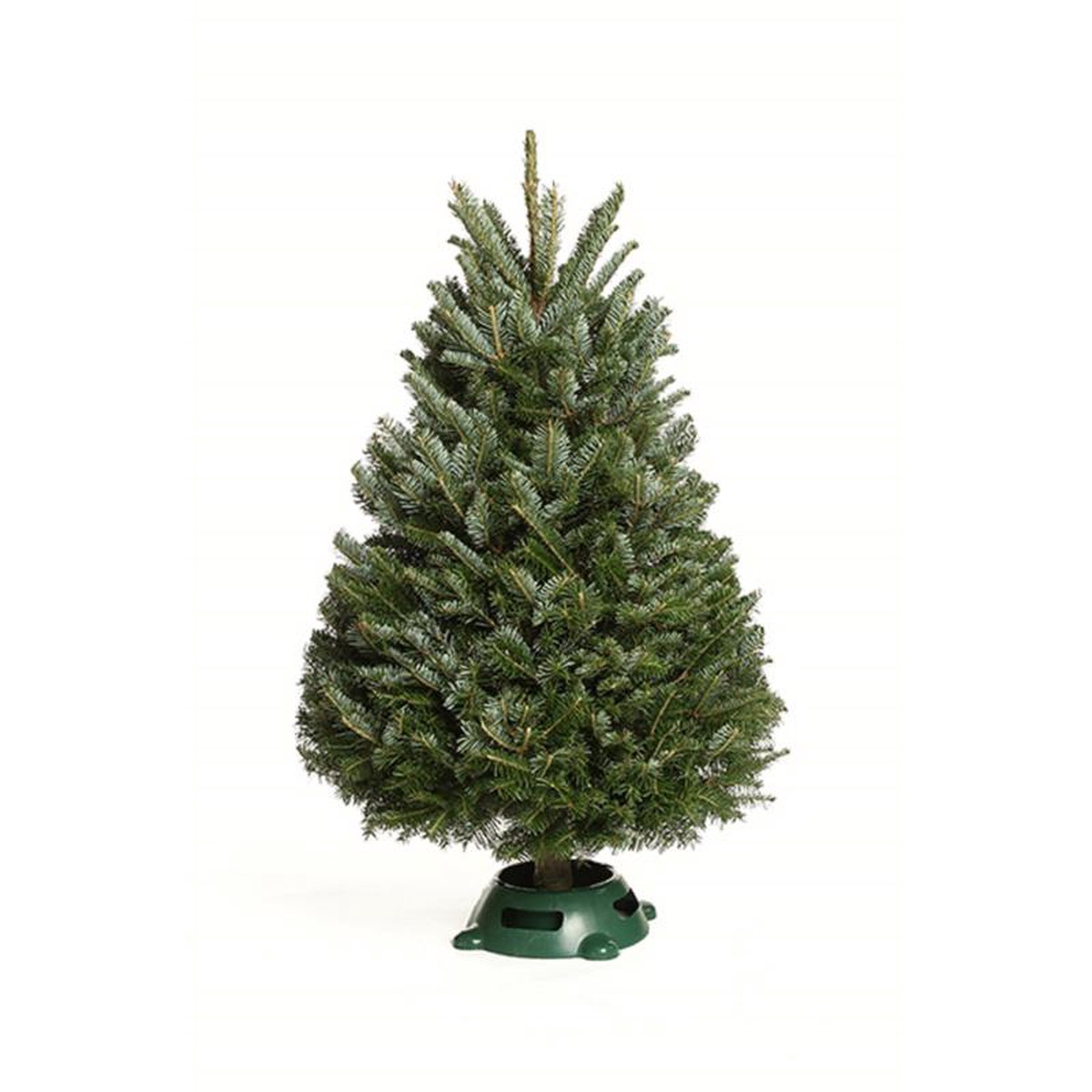 Kirk ELF0003NB Full Elf Christmas Tree 3 Ft