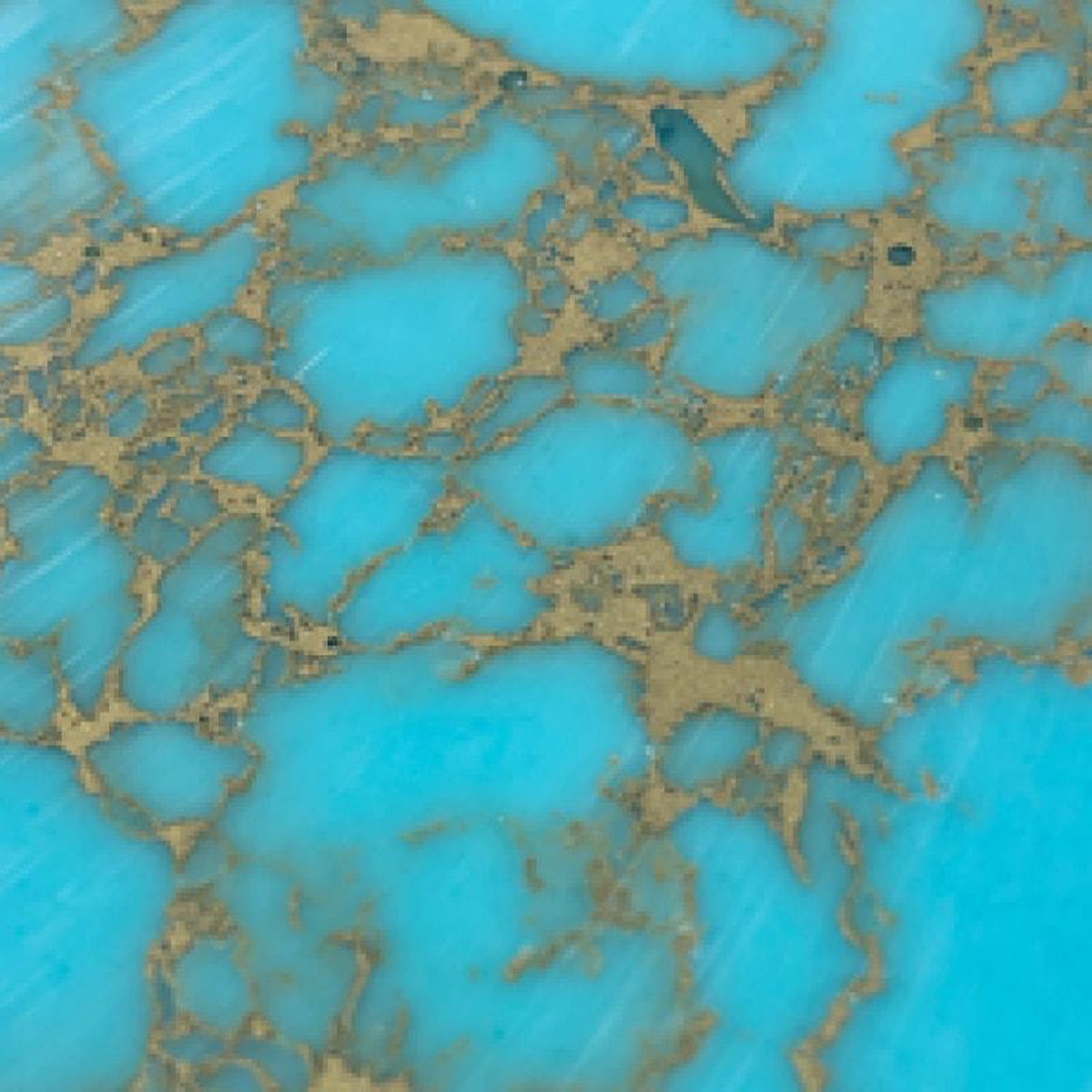 TruStone- Turquoise with Gold Matrix - 15 x 6- 1 Piece