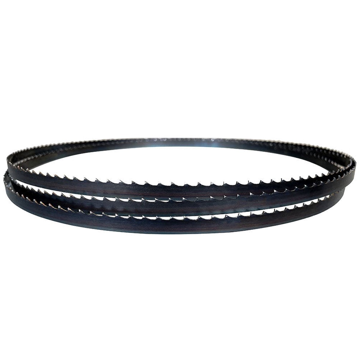 AccuRight Bandsaw Blade 316 x 116 4 TPI