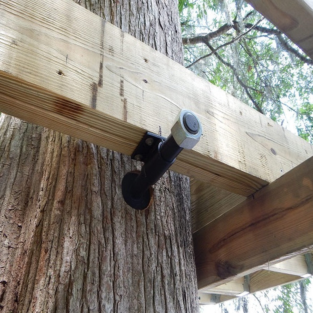 Treehouse Attachment Bolts (TAB) - Powder Coated